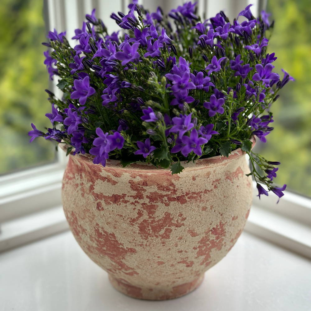 Italian Rustic Outdoor Flower Pot - Online Only