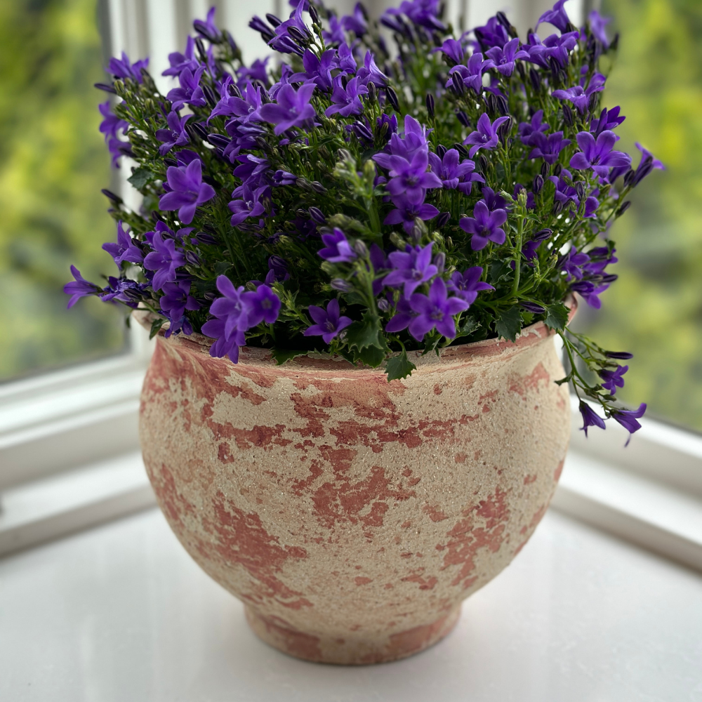 Italian Rustic Outdoor Flower Pot - Online Only