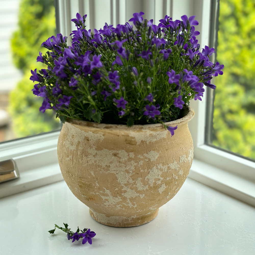 Italian Rustic Outdoor Flower Pot - Online Only