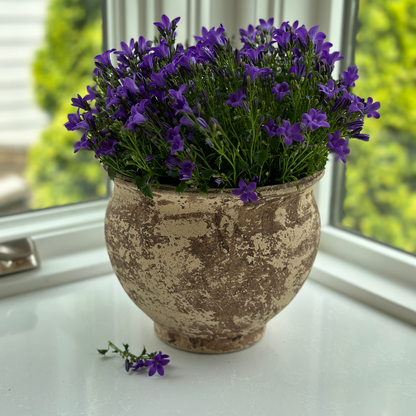 Italian Rustic Outdoor Flower Pot - Online Only