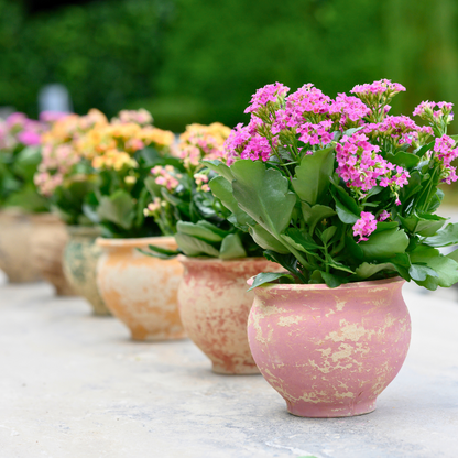 Italian Rustic Outdoor Flower Pot - Online Only