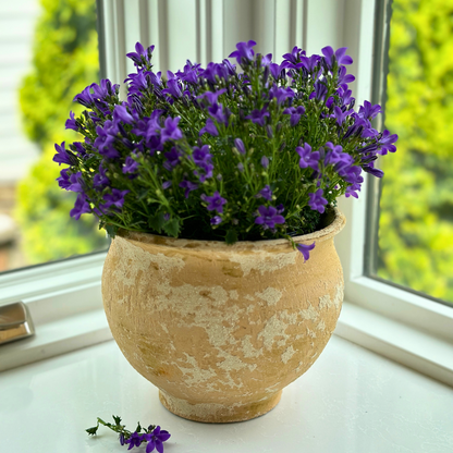 Italian Rustic Outdoor Flower Pot - Online Only